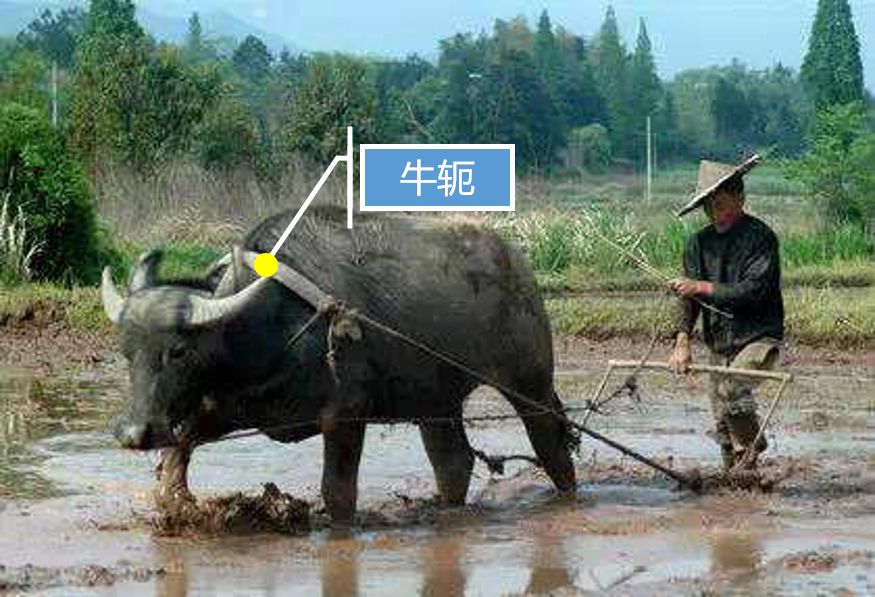 牛轭湖的形成过程示意图长江荆江段某区域卫星影像风成湖是指荒漠地区