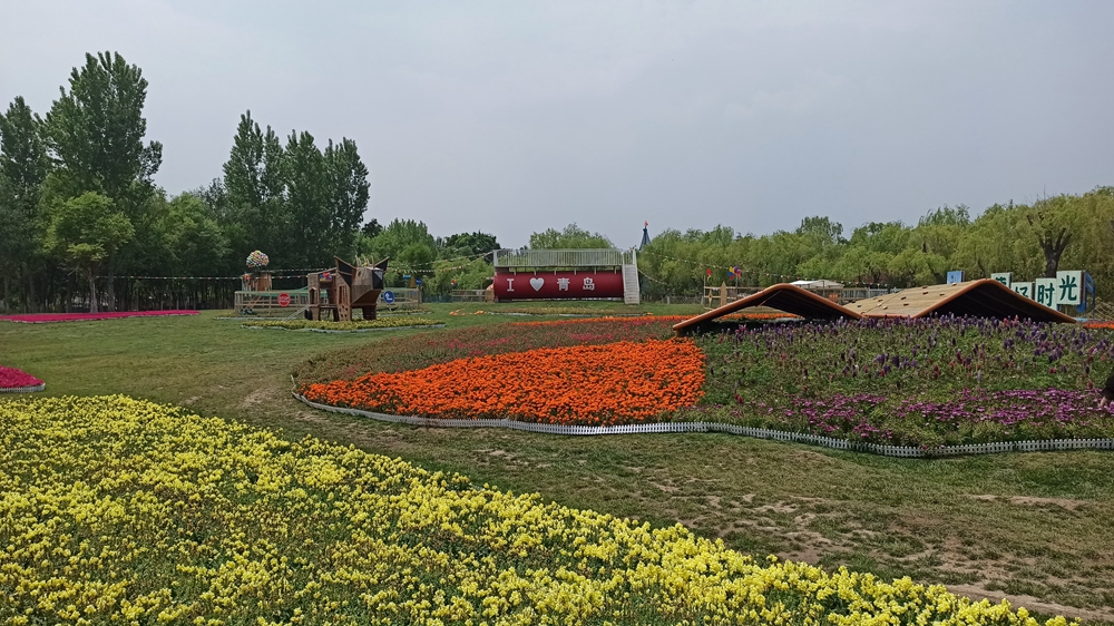 见证城市更新丨新媒体网络天团走进青岛城阳区探访城市更新新成就