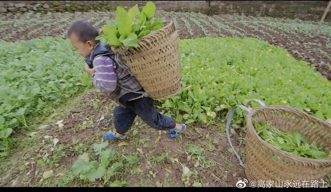 这就是农村的生活孩子们都学这干活