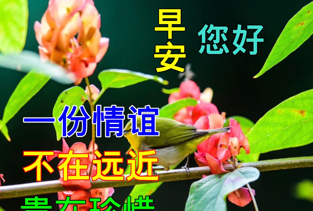清晨早上好问候祝福动态表情图片每日最新早上好祝福美图