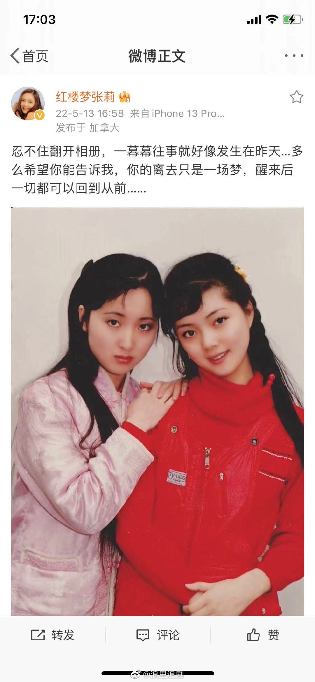 "林妹妹"陈晓旭逝世十五周年……|陈晓旭|张莉_新浪新闻