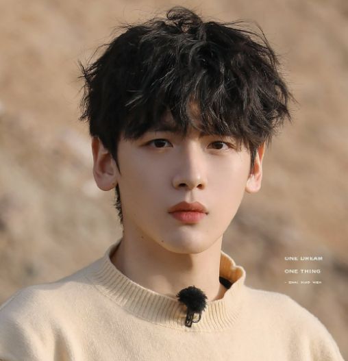 赵露思有望出演偷偷藏不住段嘉许是新人爱豆你期待吗