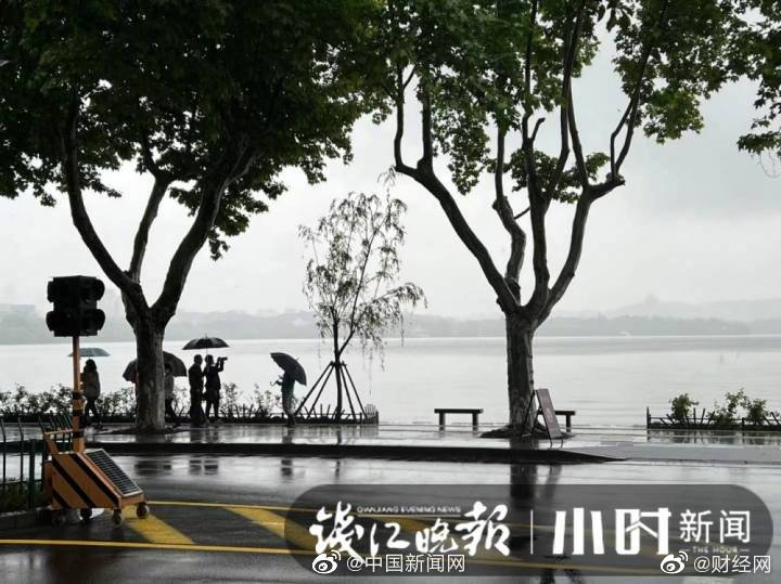 西湖断桥边7棵柳树回归，西湖景区：将依法追究相关人员责任休闲区蓝鸢梦想 - Www.slyday.coM