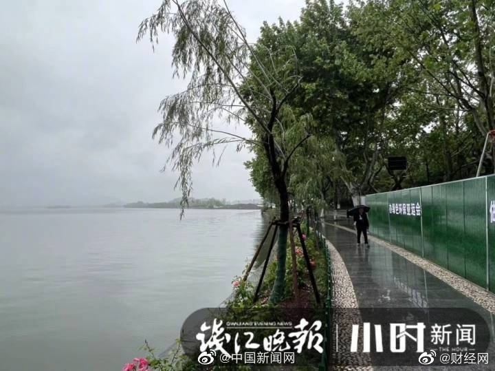 西湖断桥边7棵柳树回归，西湖景区：将依法追究相关人员责任休闲区蓝鸢梦想 - Www.slyday.coM