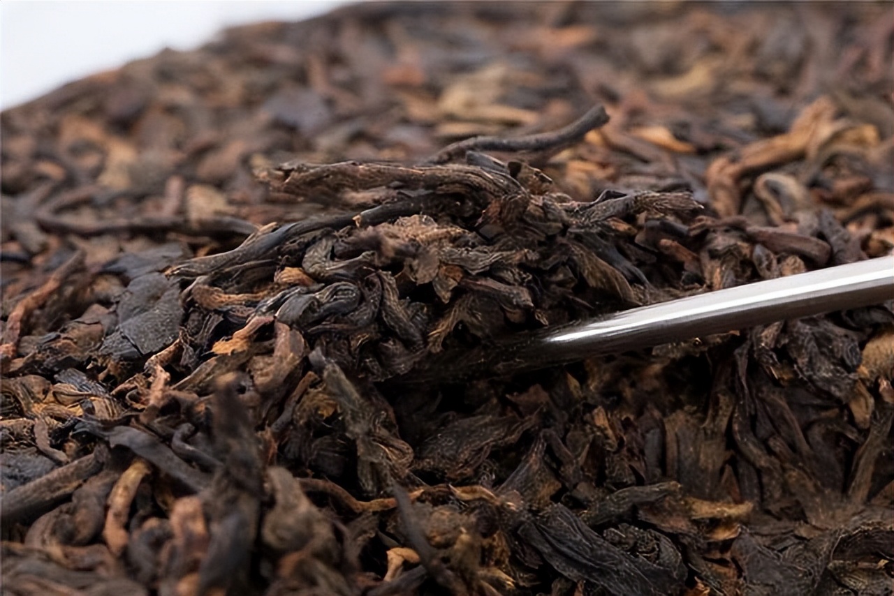 一克普洱熟茶含五亿霉菌喝多了会致癌为了健康早点搞清楚