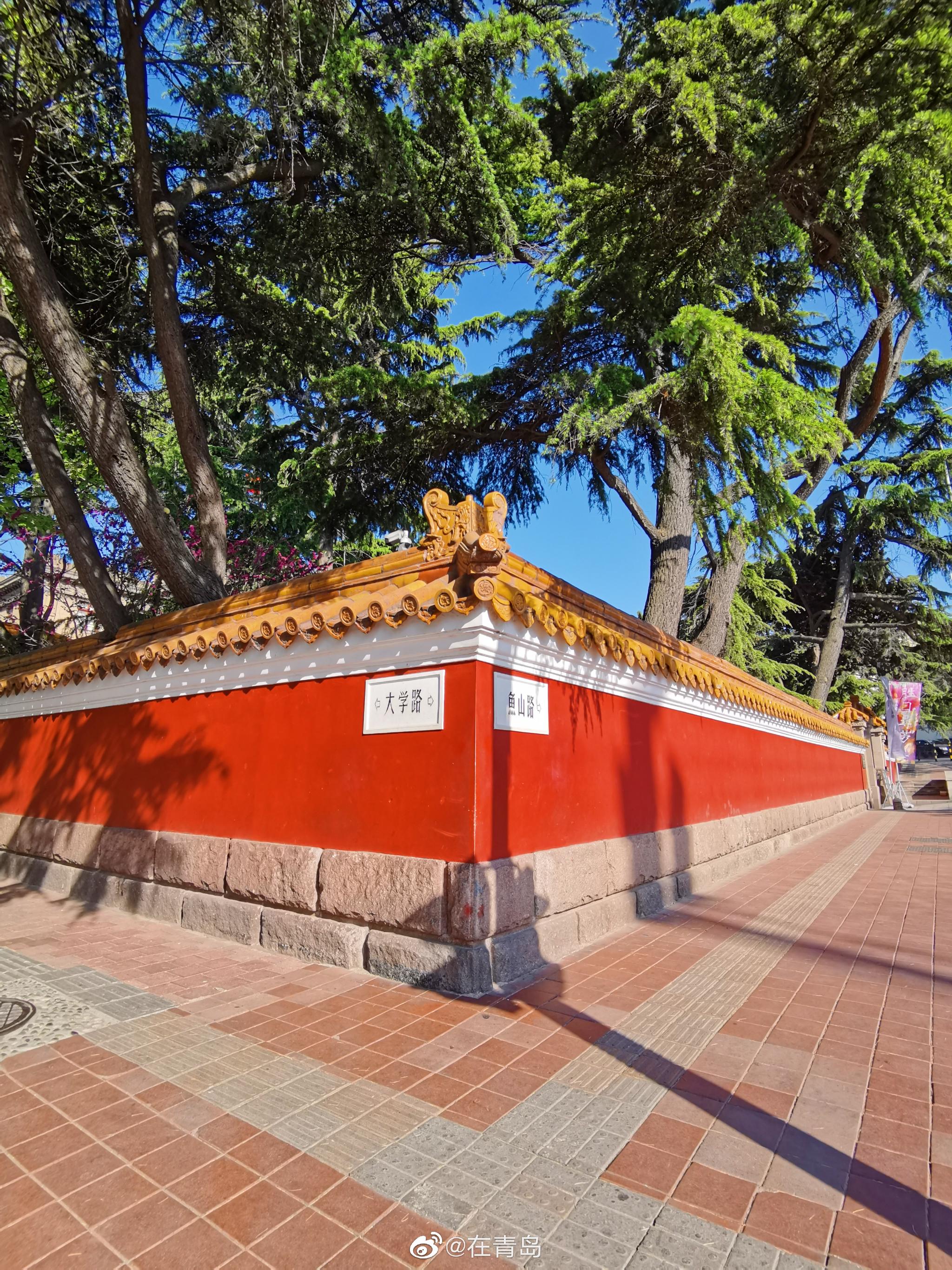 来大学路逛逛,可别忘了打卡青岛市美术馆哦,四展免费看