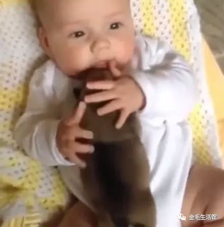 奶狗趴在宝宝身上睡觉,下一秒宝宝的举动让宝妈傻眼了!休闲区蓝鸢梦想 - Www.slyday.coM 奶狗趴在宝宝身上睡觉,下一秒宝宝的举动让宝妈傻眼了!休闲区蓝鸢梦想 - Www.slyday.coM