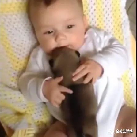 奶狗趴在宝宝身上睡觉,下一秒宝宝的举动让宝妈傻眼了!休闲区蓝鸢梦想 - Www.slyday.coM 奶狗趴在宝宝身上睡觉,下一秒宝宝的举动让宝妈傻眼了!休闲区蓝鸢梦想 - Www.slyday.coM