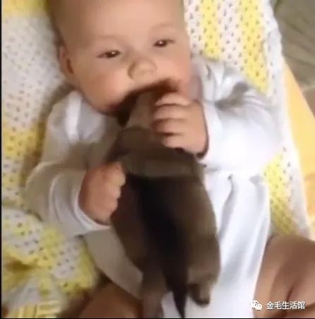 奶狗趴在宝宝身上睡觉,下一秒宝宝的举动让宝妈傻眼了!休闲区蓝鸢梦想 - Www.slyday.coM 奶狗趴在宝宝身上睡觉,下一秒宝宝的举动让宝妈傻眼了!休闲区蓝鸢梦想 - Www.slyday.coM