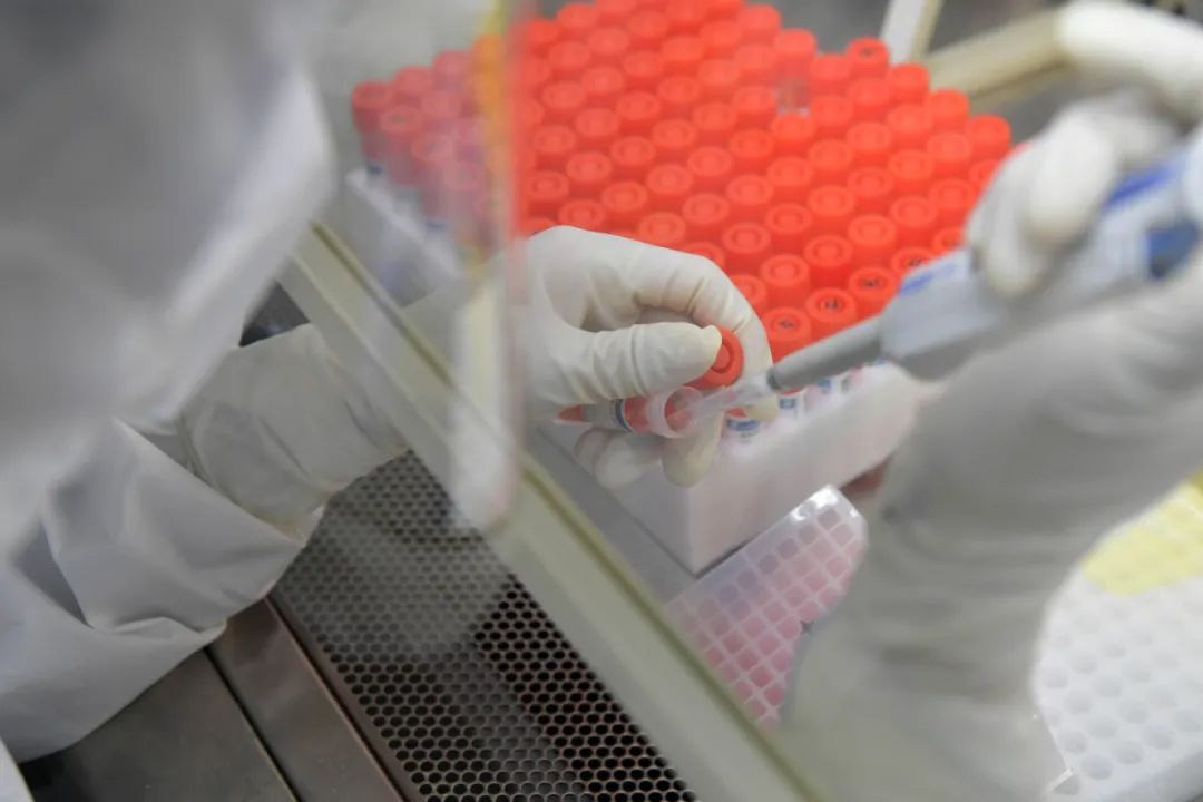 ▲在某核酸检测实验室，核酸检测员在对送来的标本进行检测。图/新华社