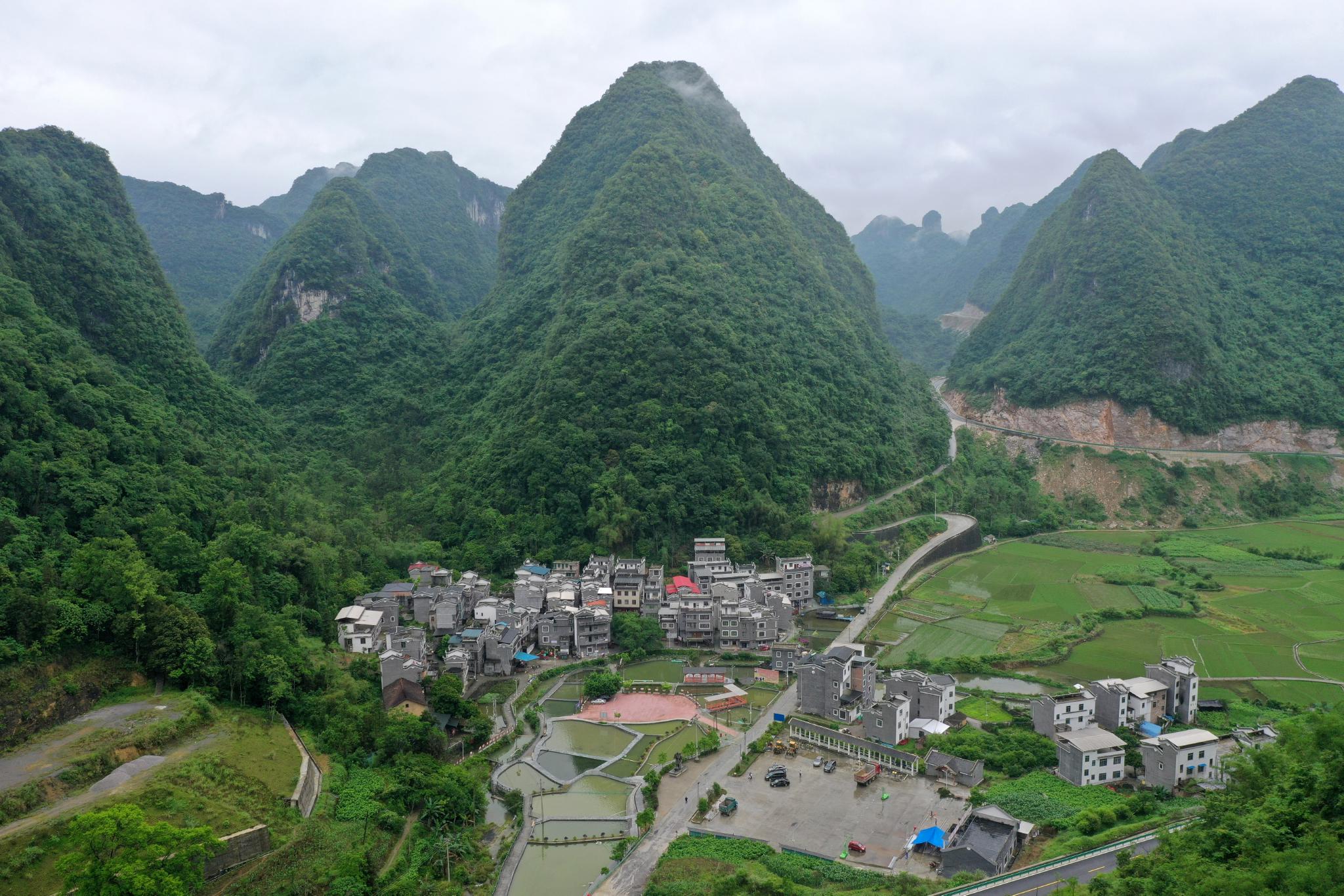 初夏山乡田园美|广西环江|毛南族|陆波_新浪新闻