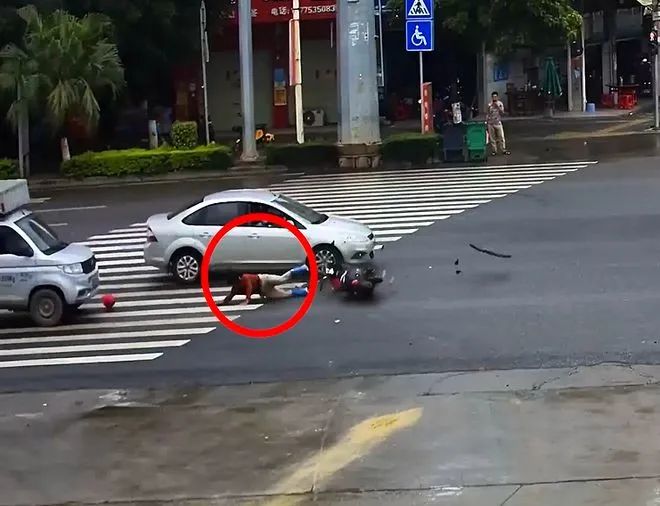 太惨了！广西一女子骑电车无视红绿灯，被车撞倒后又遭碾压休闲区蓝鸢梦想 - Www.slyday.coM