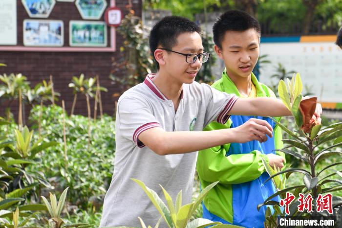 观塘中学图片