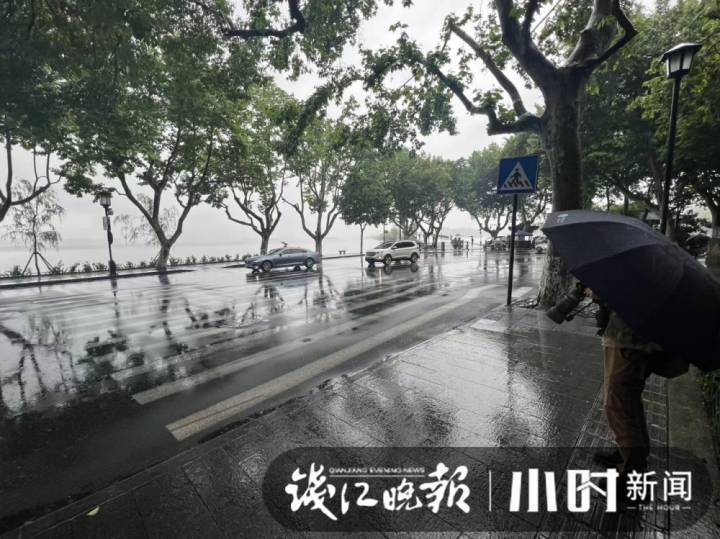 西湖断桥边的7棵柳树又回来了，景区将对柳树换月季事件追责休闲区蓝鸢梦想 - Www.slyday.coM