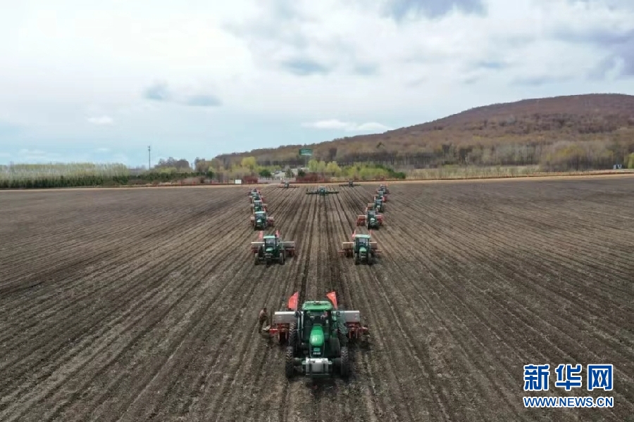 乡村振兴在行动解码建三江无人农场的智慧芯