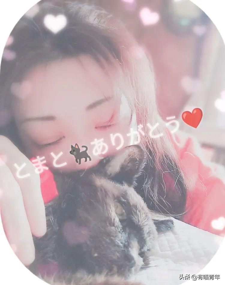 爱猫去世3个月后,又回到我身边了休闲区蓝鸢梦想 - Www.slyday.coM 爱猫去世3个月后,又回到我身边了休闲区蓝鸢梦想 - Www.slyday.coM