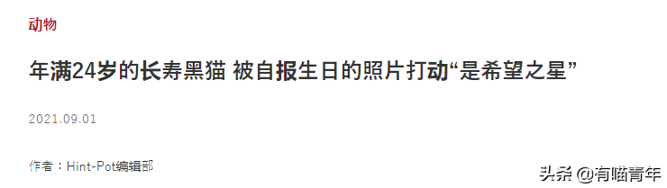 爱猫去世3个月后,又回到我身边了休闲区蓝鸢梦想 - Www.slyday.coM 爱猫去世3个月后,又回到我身边了休闲区蓝鸢梦想 - Www.slyday.coM