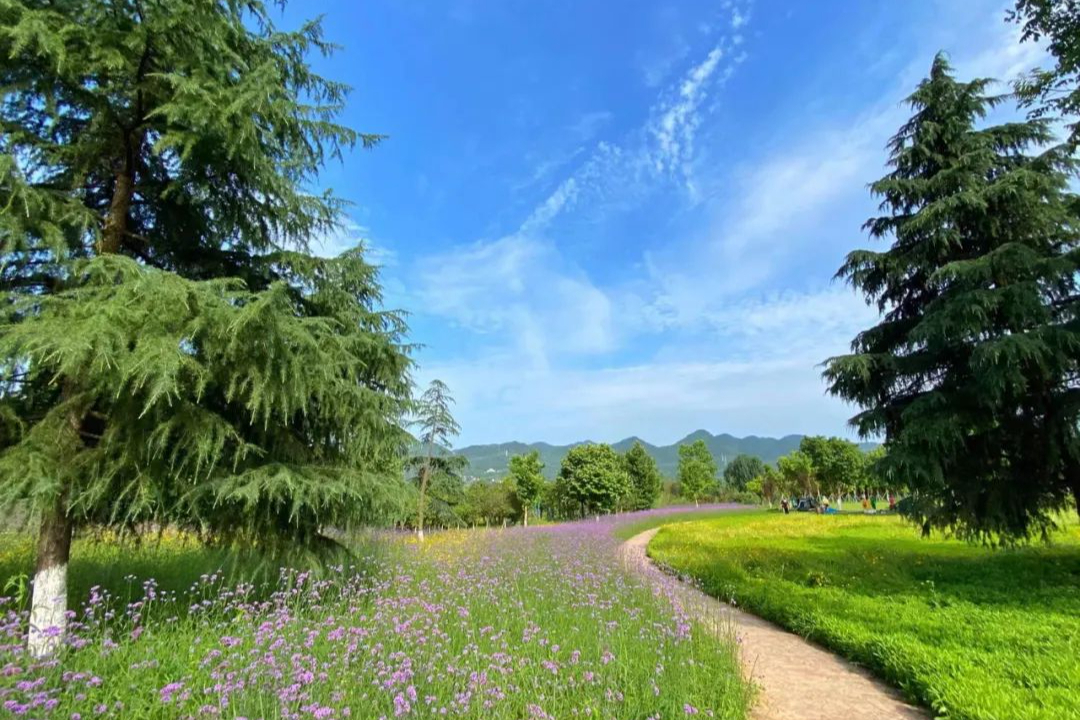 重庆新增网红露营公园酷似宫崎骏笔下的童话世界免门票开放中