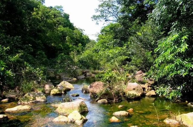 云遮雾罩，林海茫茫，广西这一景区，景色优美，可媲美九寨沟！休闲区蓝鸢梦想 - Www.slyday.coM