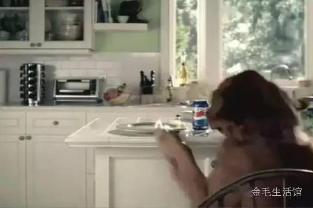 成精了金毛趁主人离开偷吃早餐,怕被发现嫁祸小猫!休闲区蓝鸢梦想 - Www.slyday.coM 成精了金毛趁主人离开偷吃早餐,怕被发现嫁祸小猫!休闲区蓝鸢梦想 - Www.slyday.coM