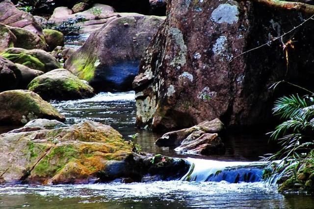 云遮雾罩，林海茫茫，广西这一景区，景色优美，可媲美九寨沟！休闲区蓝鸢梦想 - Www.slyday.coM
