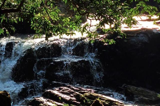 云遮雾罩，林海茫茫，广西这一景区，景色优美，可媲美九寨沟！休闲区蓝鸢梦想 - Www.slyday.coM