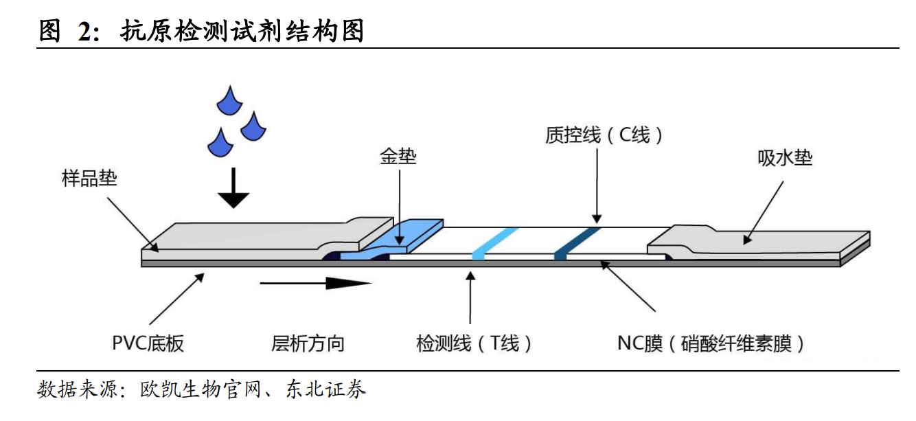 抗原试剂检测过程,特异性抗体为重要原材料.