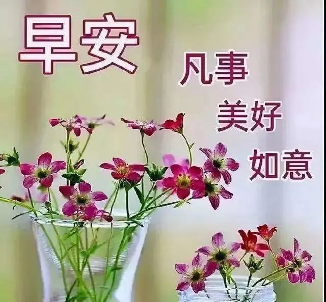 超漂亮的早上好問候帶字祝福語圖片最新版早上好表情圖片