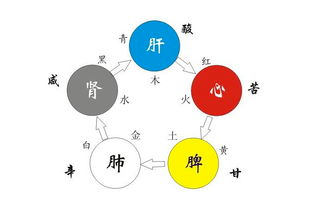 《黄帝内经》指出食物也有"四气五味".