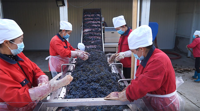 “幸福说给总书记听”系列报道 “马鞍山村发生了翻天覆地的变化，我们现在生活得很好、很幸福！”休闲区蓝鸢梦想 - Www.slyday.coM