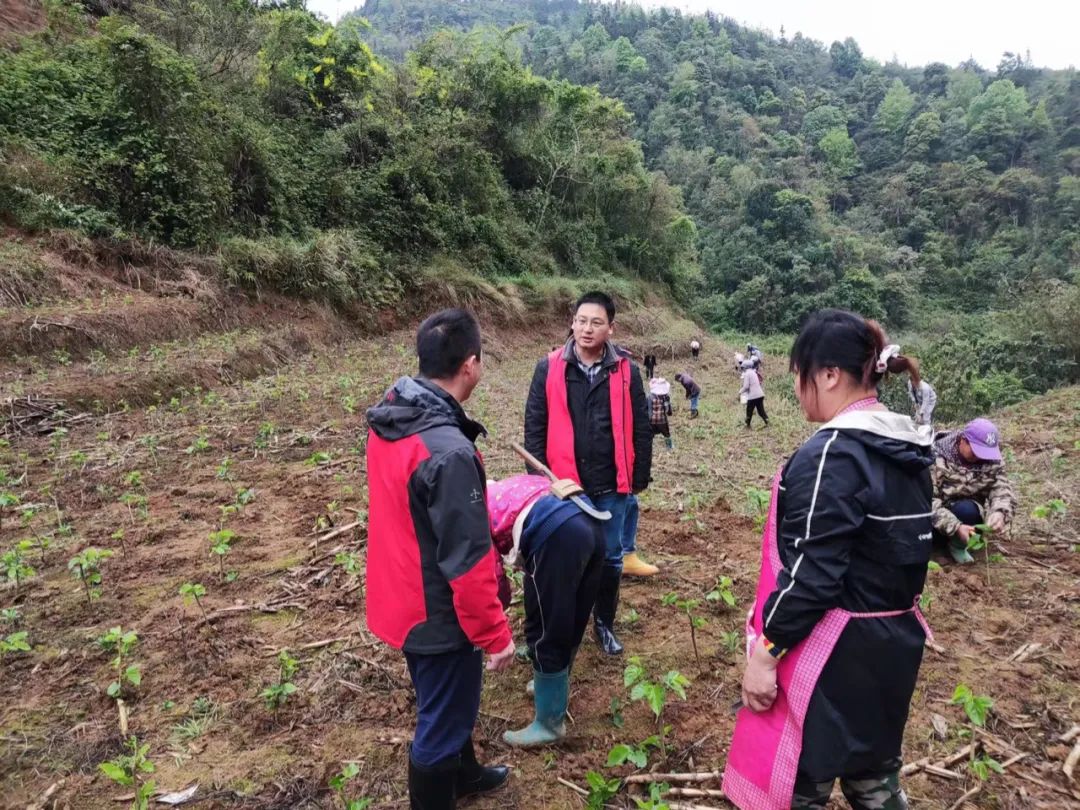 张正淳（中）在桑园指导农户进行科学肥培管理和早春病虫害防治