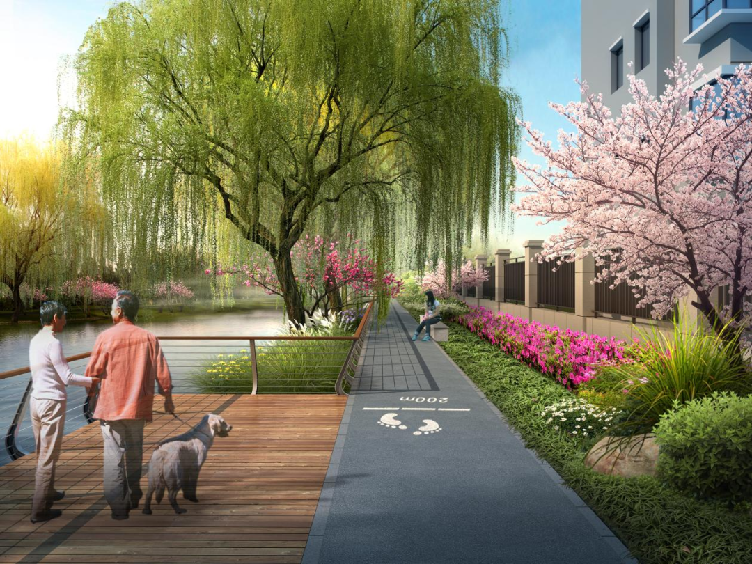 现实版绿野仙踪来了今年这些新绿道让你尽情森呼吸