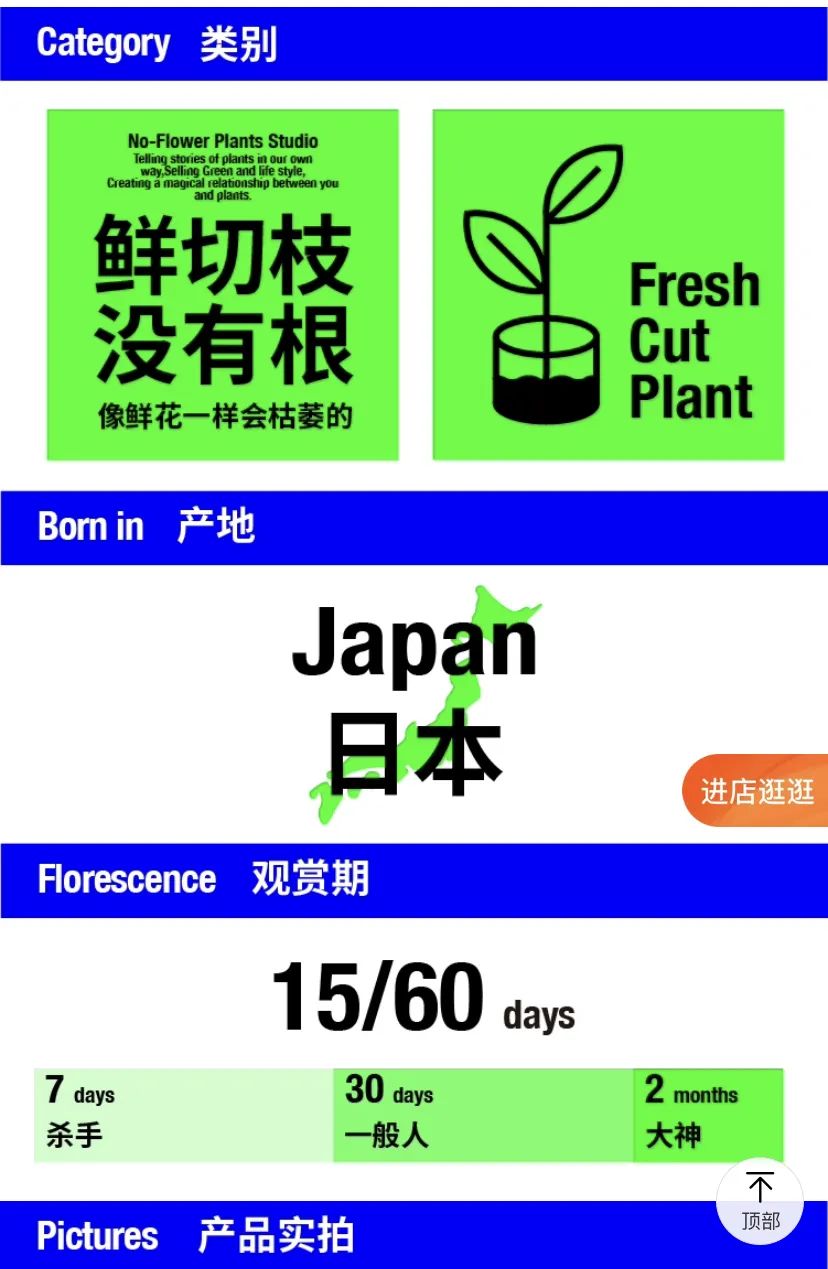 超级植物公司如何凭反精致成为年轻人的情绪解药