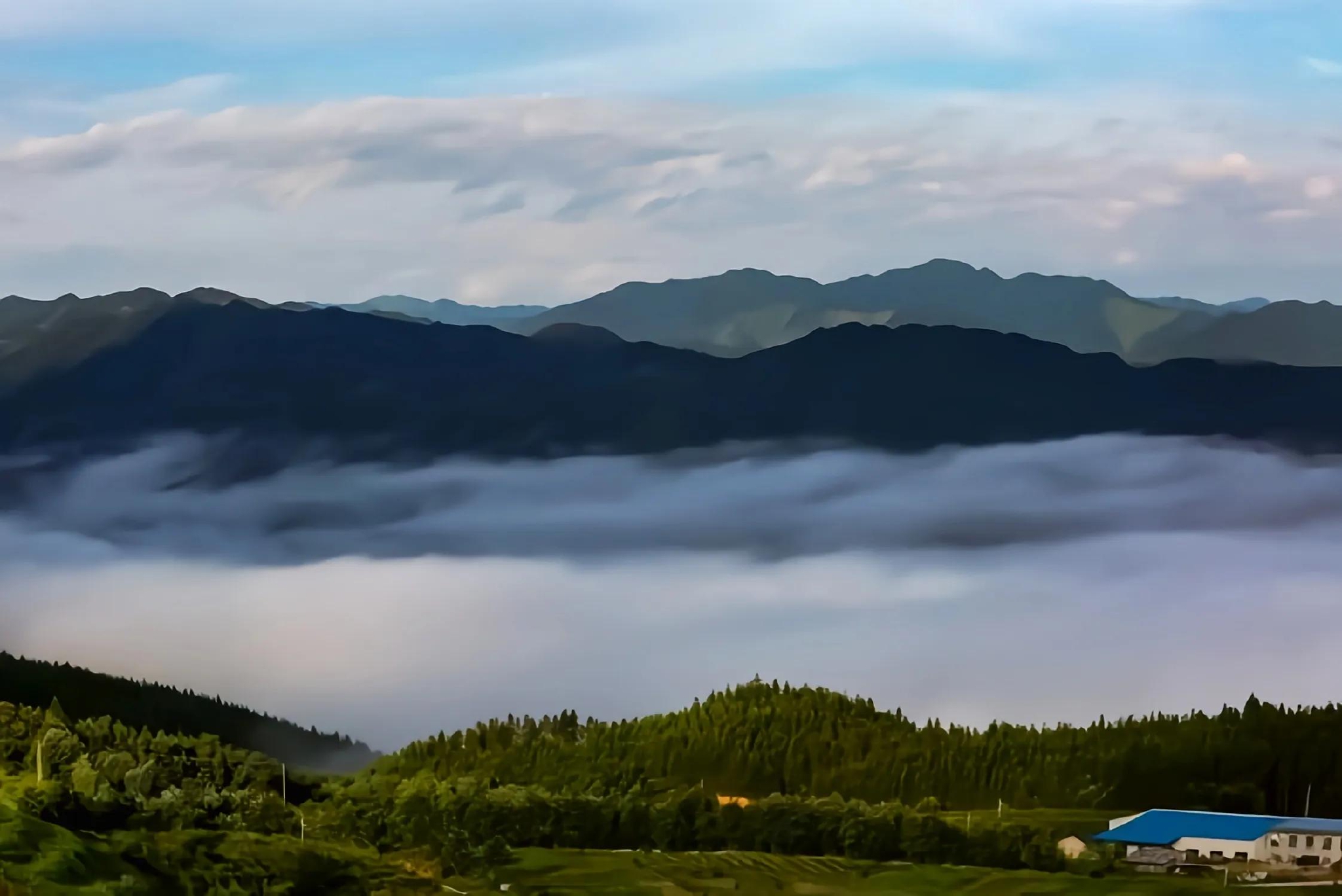 登高望远,奇山兀立,群山连亘,苍翠峭拔,云遮雾绕|奇山|群山|云雾_新浪新闻