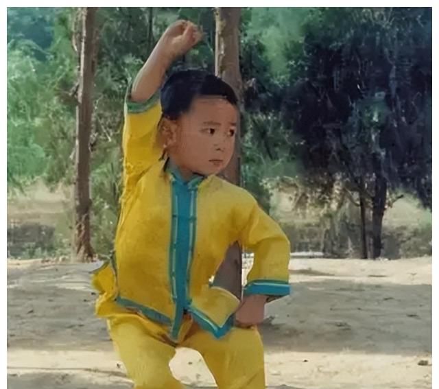 同样是武术世家,吴京成为百亿影帝,释小龙却销声匿迹__财经头条