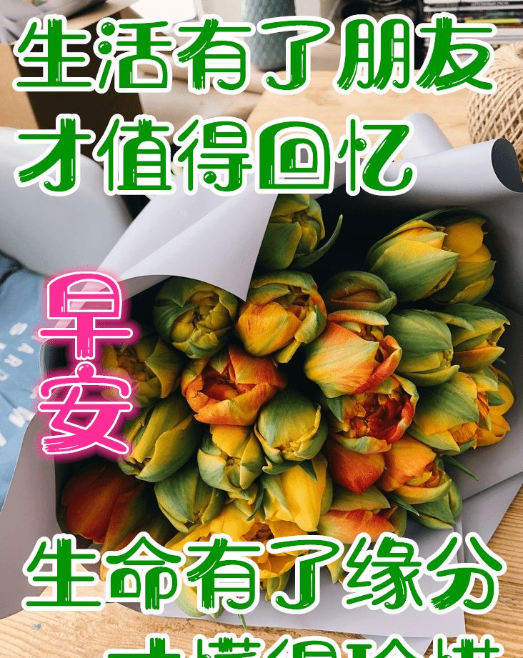 朋友圈分享早上好温馨祝福问候图片早安祝福问候图片