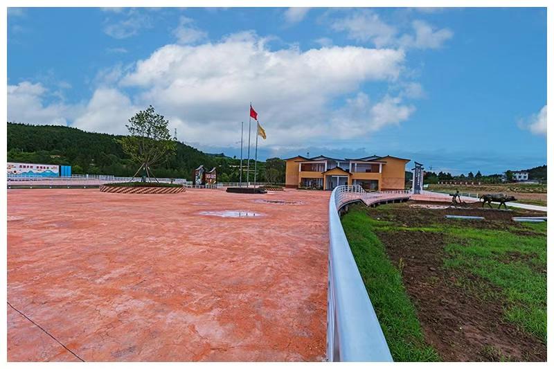 剑阁|农产品|白龙镇_新浪新闻