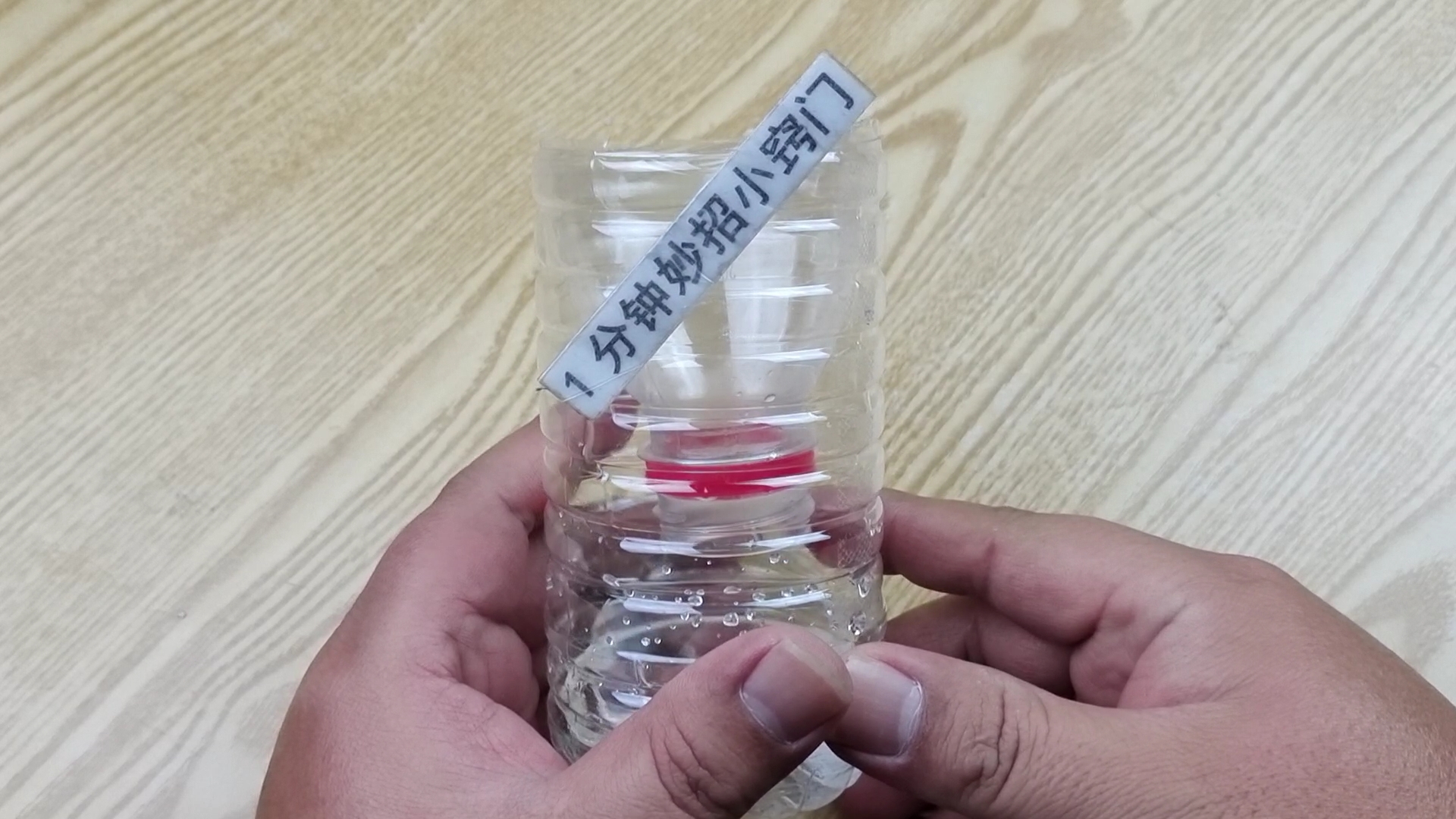 只需一个塑料瓶家里的苍蝇轻松消灭安全又省事这方法真好