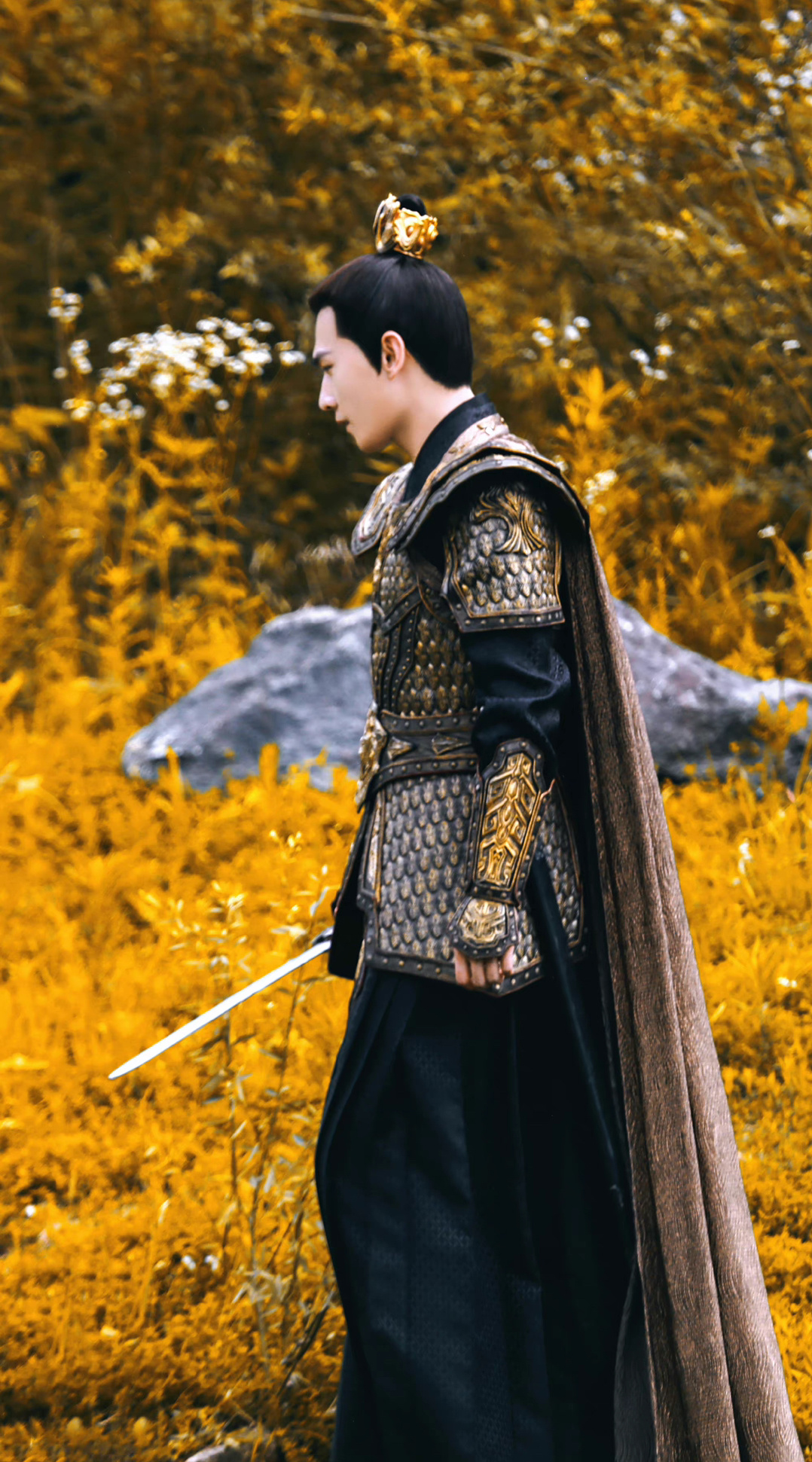 杨洋丰兰息穿盔甲气场拿捏了