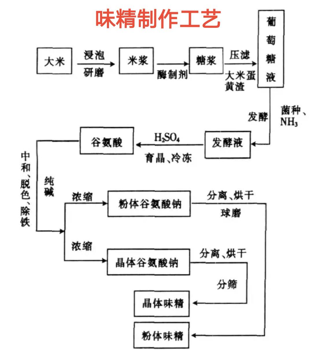 谷氨酸钠制作工艺流程图片