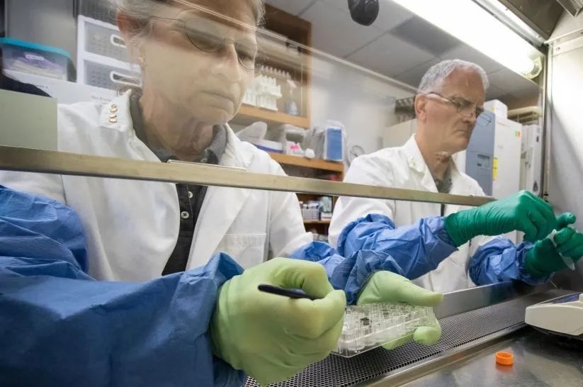 从月壤中长出来！世界上最奢侈的“种菜”，也只有美国会这么做了休闲区蓝鸢梦想 - Www.slyday.coM