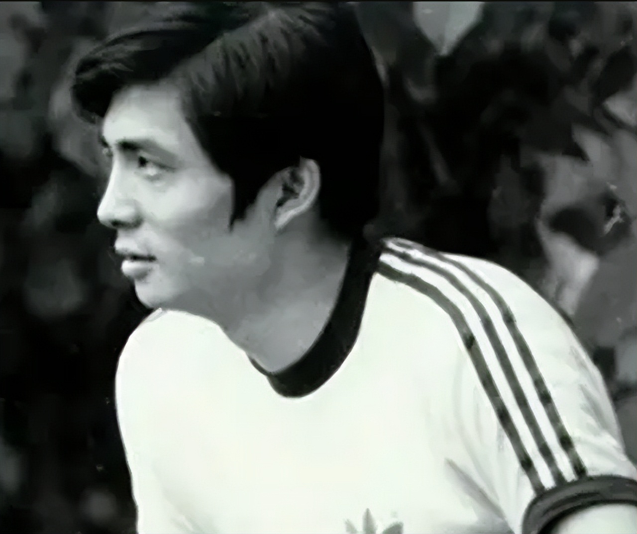 汪嘉伟前妻邓星从小在秦怡身边长大如今67岁儿子成为她最大的骄傲