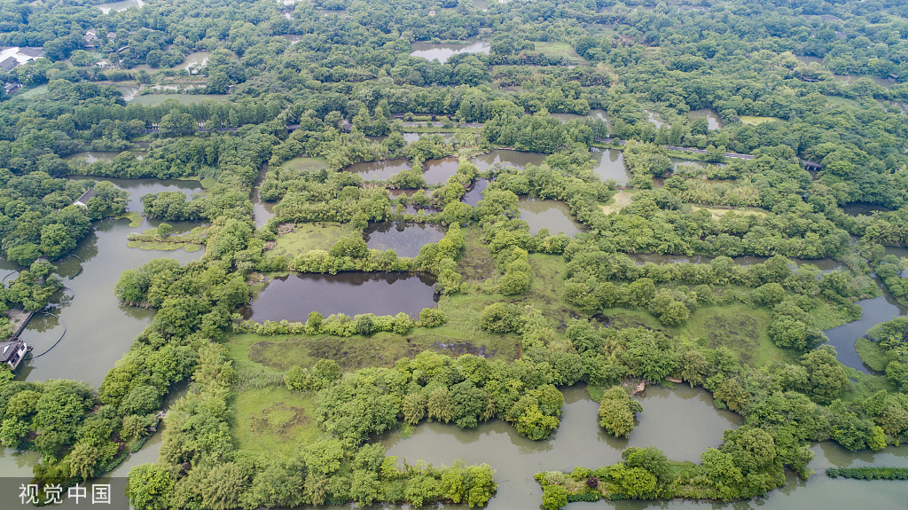 西溪湿地全景图片