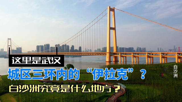 九头鸟文旅创意武汉城区的三环内藏着一个伊拉克这个被嫌弃的白沙洲