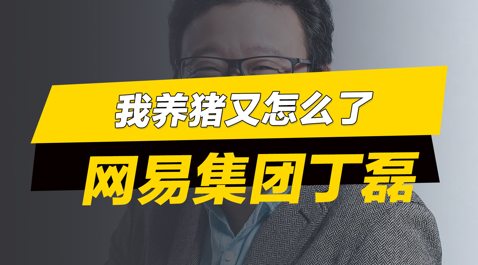 网易集团丁磊我养猪又怎么了为什么非要在这里把自己标榜的很高尚说我