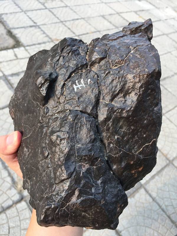 鉴赏来自城中沙漠库姆塔格的陨石