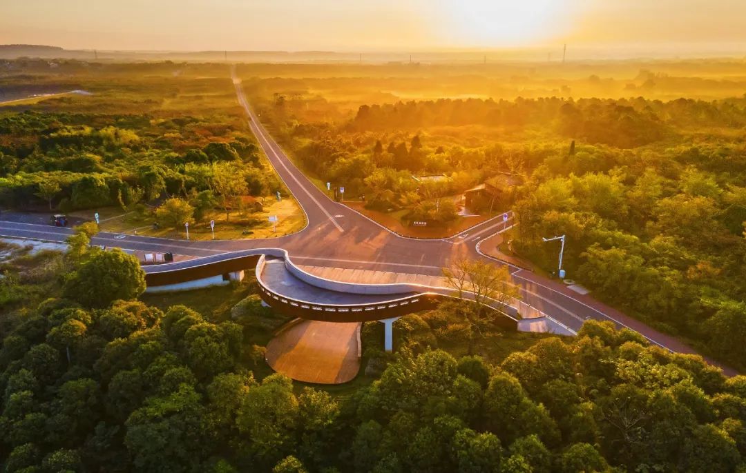 溧阳qq上500块3小时不限次数是真是假