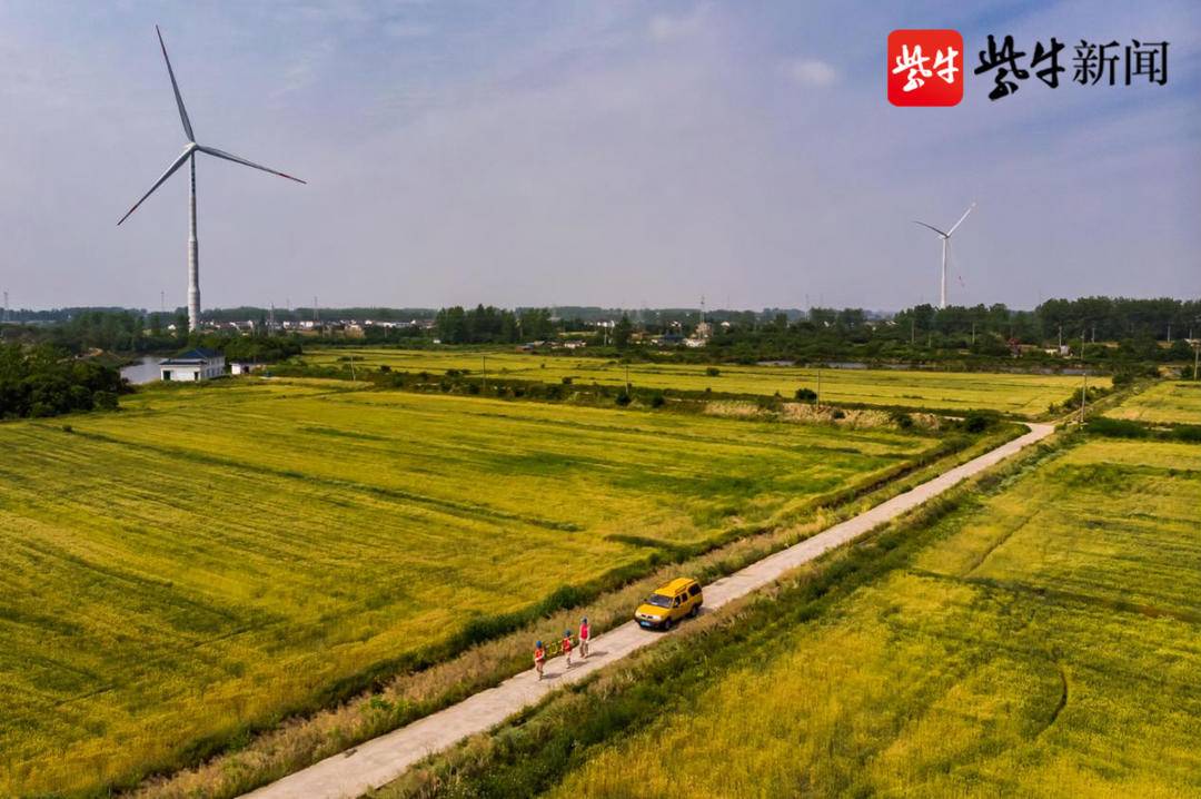 乡村电气化扮靓邵伯湖畔鱼米乡7000亩湿地公园更秀美