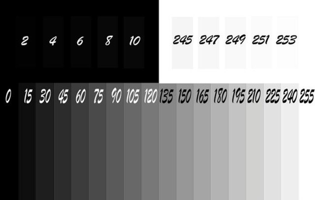 fca9-e6c4bba9be4490efa10f9b11b1facd60.jpg