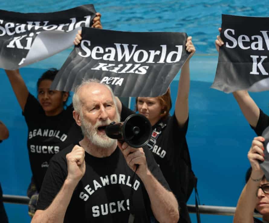 克伦威尔抗议海洋世界主题乐园内的虎鲸遭受不良待遇